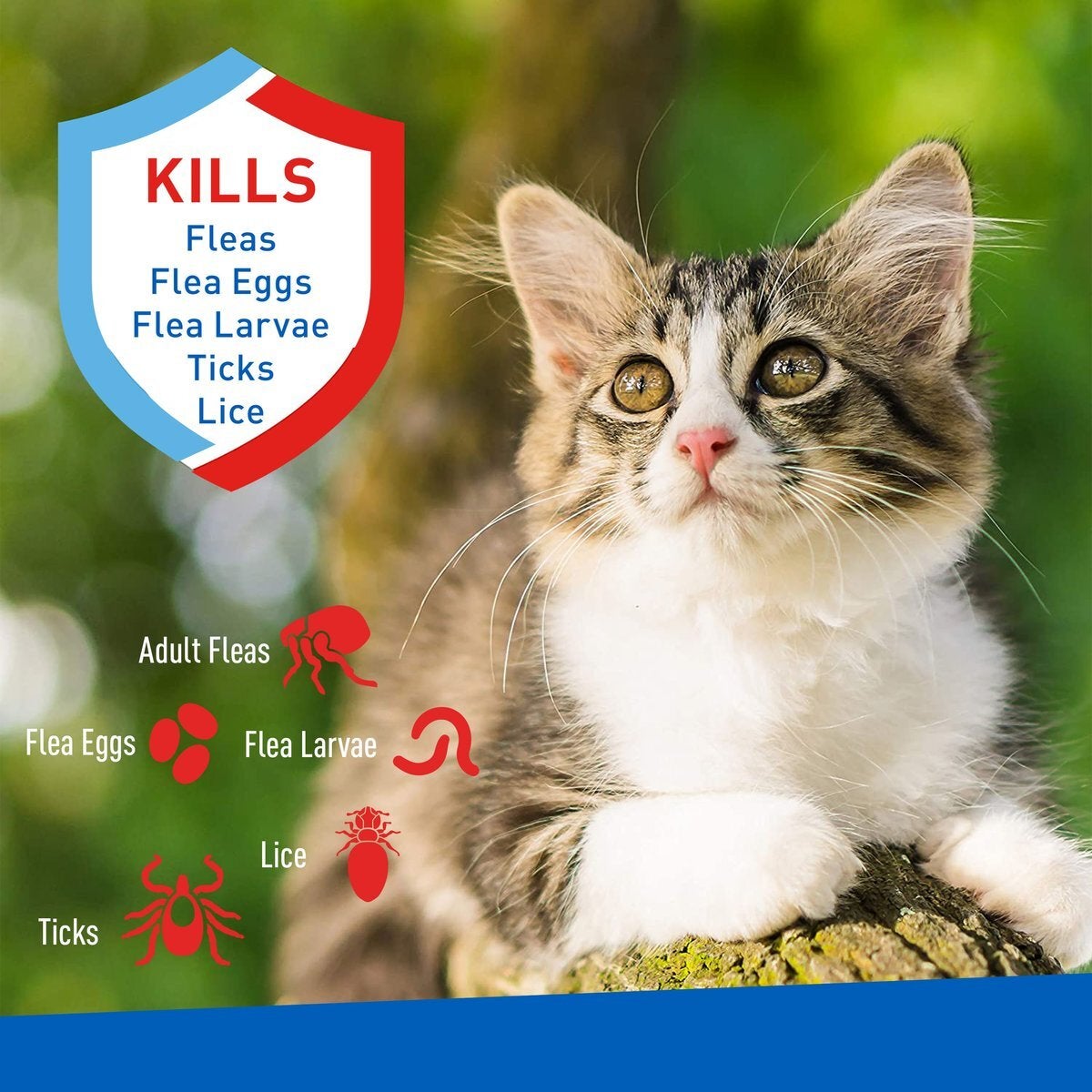 Cat lice shampoo clearance