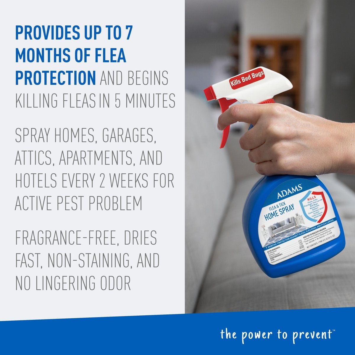 Adams flea killer clearance