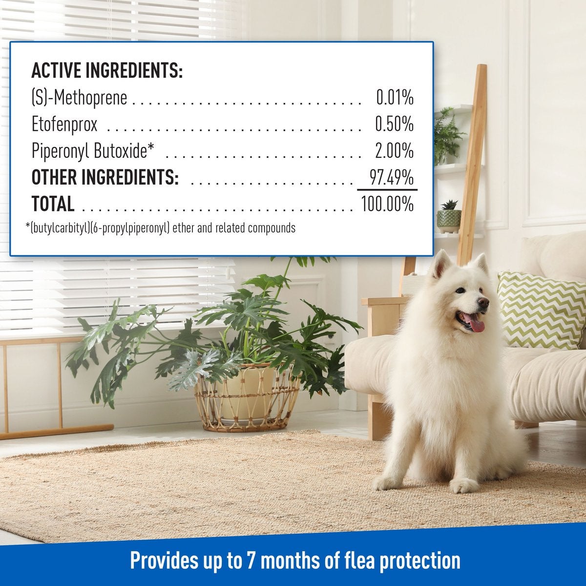 Adams dog spray best sale