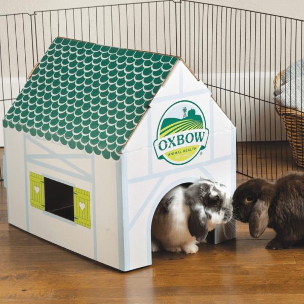 Enriched Life - Hamster Habitat