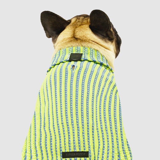 Canada top pooch sweater