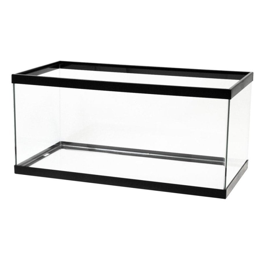 40 gallon new arrivals fish tank